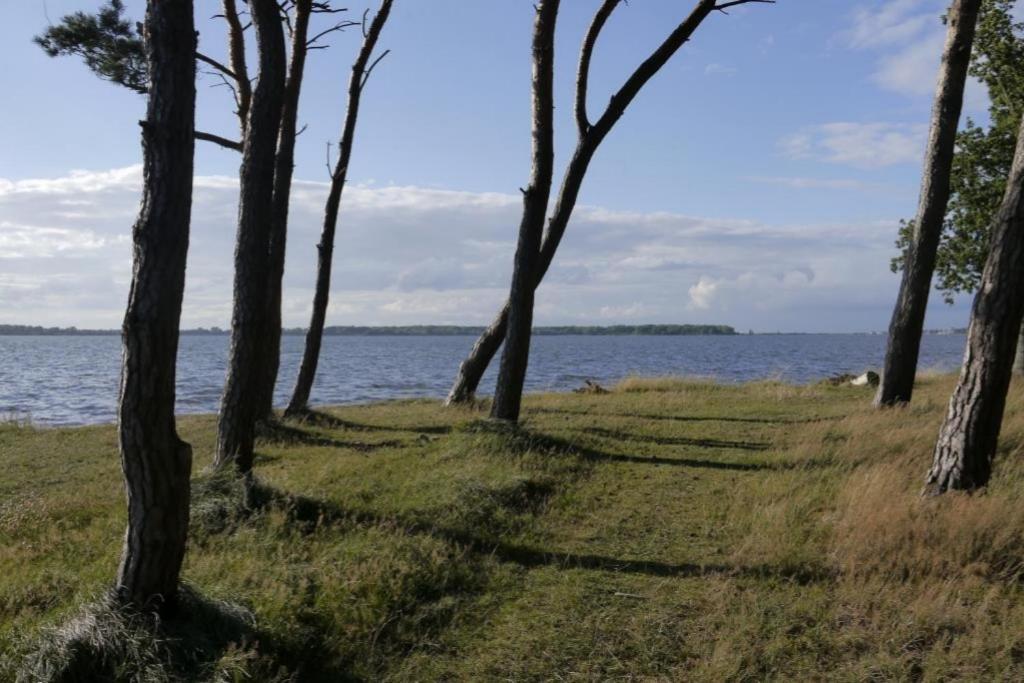Fewo 08 Seemoewe Mit Blick Auf Salzhaff Und Ostsee เรลิค ภายนอก รูปภาพ