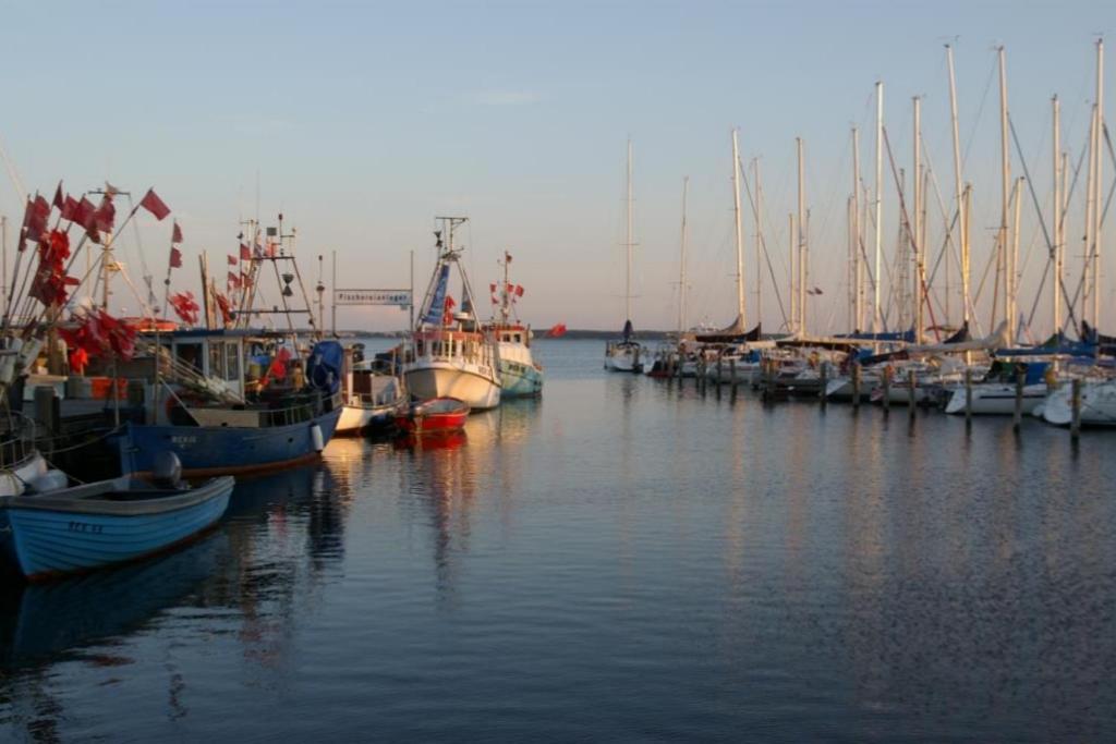 Fewo 08 Seemoewe Mit Blick Auf Salzhaff Und Ostsee เรลิค ภายนอก รูปภาพ